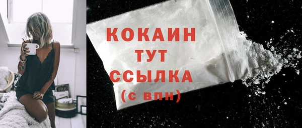 шишки Горняк