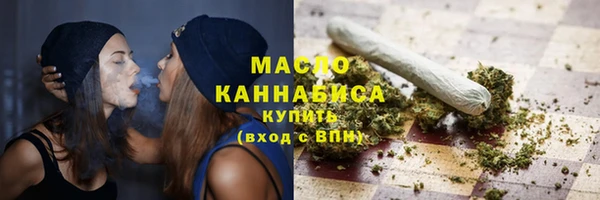 шишки Горняк