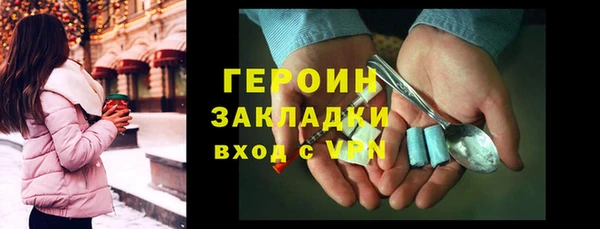 шишки Горняк