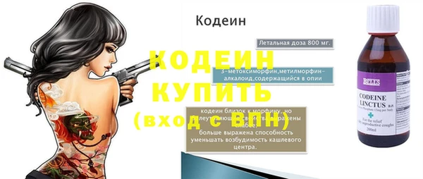 шишки Горняк
