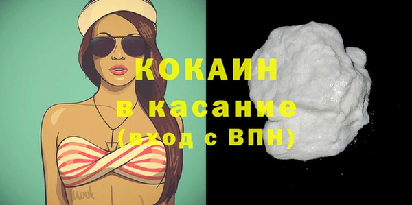 шишки Горняк