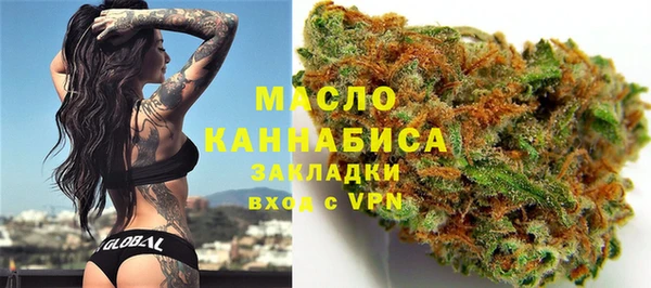 шишки Горняк