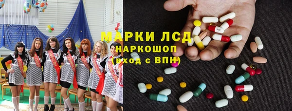 шишки Горняк