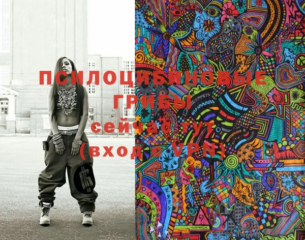 шишки Горняк