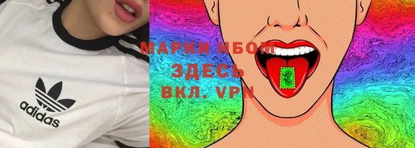 шишки Горняк
