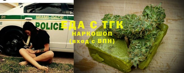 шишки Горняк