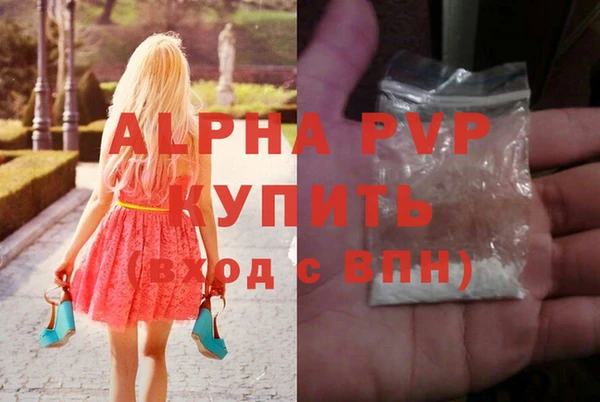 шишки Горняк