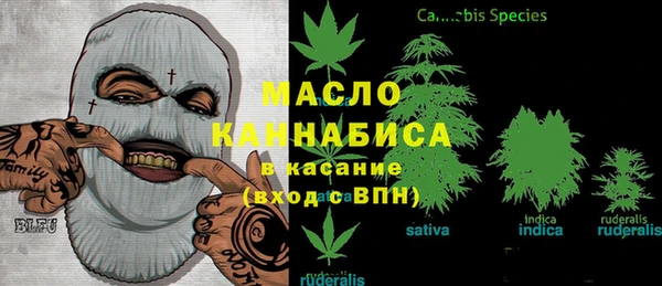 шишки Горняк