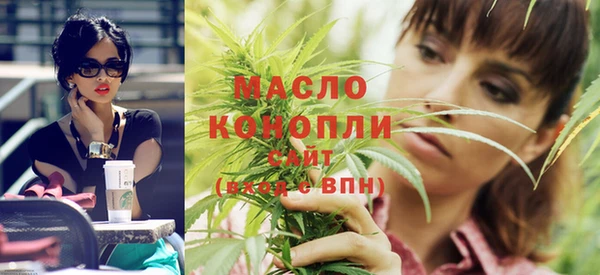 шишки Горняк