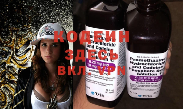 шишки Горняк