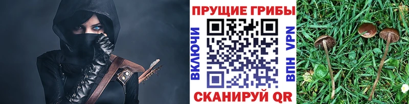 Галлюциногенные грибы Cubensis  Чернушка 
