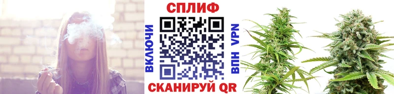 Конопля OG Kush  Чернушка 